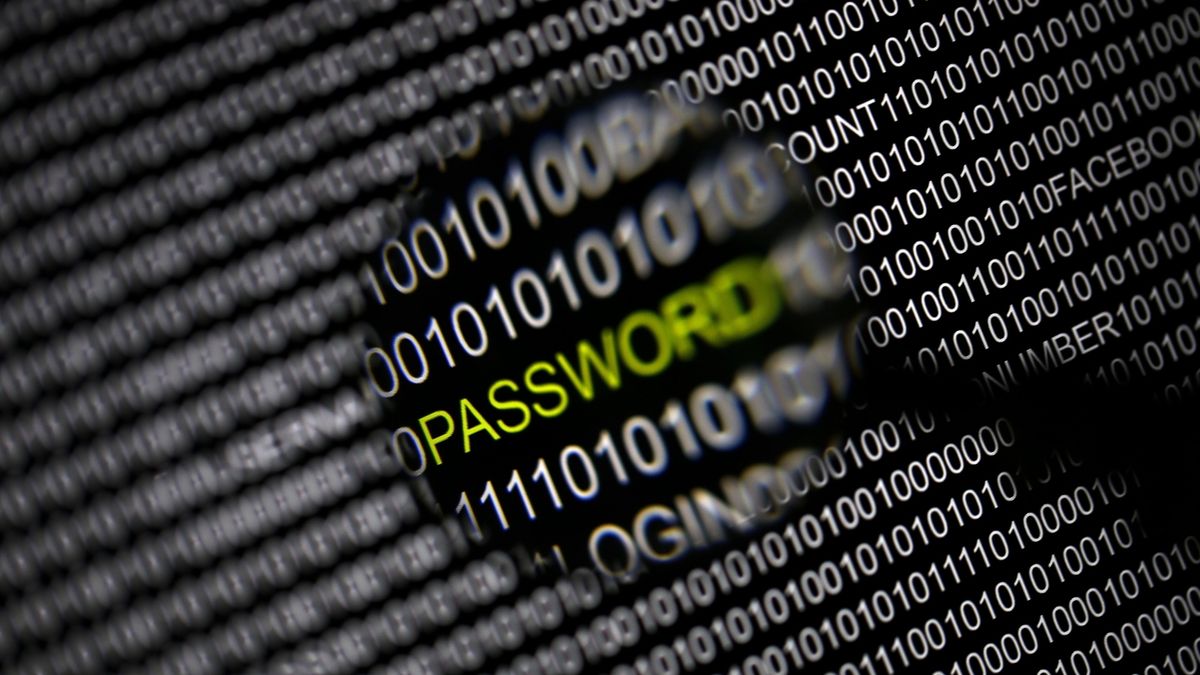 Jediný virus stojí za třetinou kybernetických útoků v Česku